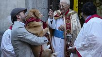 Madrid pet owners bring animals to Saint Anthony Church for annual blessing